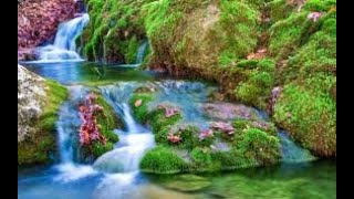 #naturesounds #relaxingsounds #forestsounds 2Hours Nature Sounds-Waterfall-Relaxing Meditation