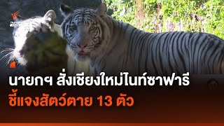 นายกฯ สั่งชี้แจงสัตว์ตายในเชียงใหม่ไนท์ซาฟารี  | Thai PBS News