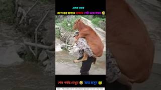 আপনি পেট ভরে হাসবেন 🤣 #shorts #funny #comedy