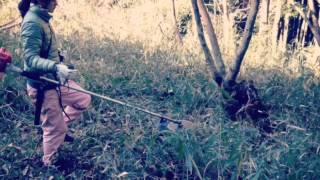 naedoco_nursery of forestry; girls in Tokyo 2014 part1