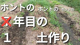 2024/9/28　【やはりなの？】土が良くなったと感じにくかった自然派栽培７年目の土地で気持ち新たに１年目の気分になった日