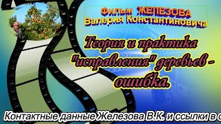 Железов В. К.  Теория и практика \