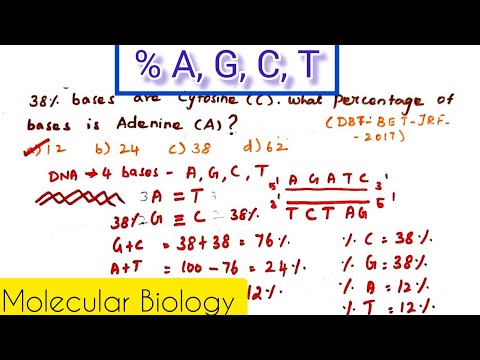 What percentage of the sample contains cytosine?