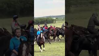 Ростов-на-Дону улак  16.05.2024 жыл Куру балбан Тайга ташдады 🐴