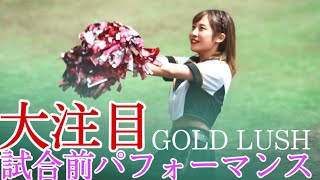 【GOLD LUSH】試合前チアパフォーマンス！可愛いチアたちに観客大注目！栃木ゴールデンブレーブス