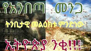 አስፈሪ!! (የአንበጣ መንጋ) ትንቢታዊ መልእክቱ!!! የምጽአት ቀን..(መታየት ያለበት)Locust prophecy