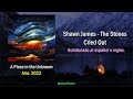 Shawn James - The Stones Cried Out | Sub. español