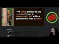 Facts (Hack The Box) - Overexplaining Offensive Security