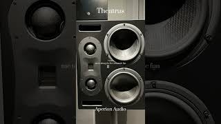 Aperion Audio Theatrus Cinema/Studio AMT Ribbon Installation Monitor Speaker in Russia