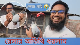 রেসার অতিথি ধরলাম | racing pigeon loft | Hujur loft |