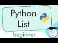 Python List | Simple Tutorial | #Shorts