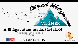 A Bhāgavatam madártávlatból - A VI. ének áttekintése