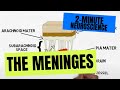 2-Minute Neuroscience: The Meninges