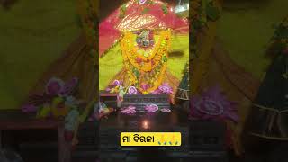 ମା ବିରଜା 🙏🙏#ଯାଜପୁର #ଓଡିଶା #jai maa biraja 🙏🙏#ajit\u0026puja vlogs