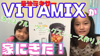 【アメリカ生活】最強ミキサーVITAMIXを使って激うまフルーツミックスジュース作ってみた♪