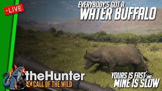 🔴 LIVE Casual Hunting for Water Buffalo on Sunderpatan!!  #thehuntercallofthewild