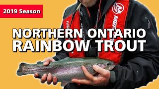 Northern Ontario Rainbow Trout | Fish'n Canada