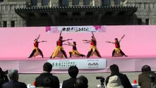 「大阪人間科学大学　烈輝」　京都さくらよさこい2012　　京都市役所前