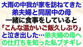 【スカッとする話】大雨の中我が家を訪ねてきた弟夫婦と同居中の母→一緒に食事をしていると「こんな温かいご飯久しぶり」と泣き出した…弟夫婦の母への仕打ちを知った私ブチギレ【修羅場】