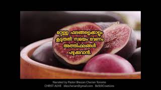 FRUITS OF ISRAEL AND THEIR MEANINGS യിസ്രായേലിലെ ഫലങ്ങൾ   || Be Still || Blessan Cherian