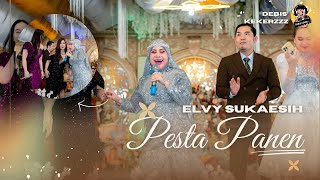 ELVY SUKAESIH / PESTA PANEN / RAJAWALI MUSIK PALEMBANG / DESA PALDAS #orkes #dangdutviral