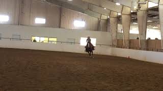 Amateur Ranch Reining