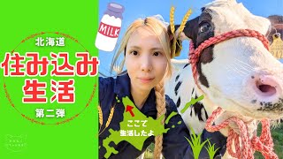 【北海道】住み込み生活第二弾【あかねこちゃんねる】