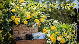 🌼한번뿐인 결혼식 나답게! - ⛰제주도를 품은 대홍관