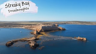 E98 - Streaky Bay (Dolphins and Whiting)