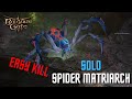 Baldur's Gate 3 how to kill Spider Matriarch ( Solo / Tactician )