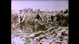 Stan Rogers sings "The Field Behind the Plow"