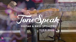 ToneSpeak Belfast 820 Demo