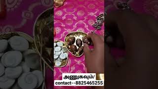 மகாலட்சுமி சோழி//Lakshmi shell