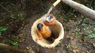 Survival Girl Has Commitment Building Underground House and Bamboo Swimming Pools, Living Alone