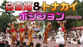 (TDL)2024年11月16日　クリスマスストーリーズ