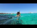 4k egypt hurghada hun summer beach snorkeling at public beach u0026 coral reef