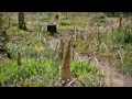 千葉県　大網白里市　十枝の森