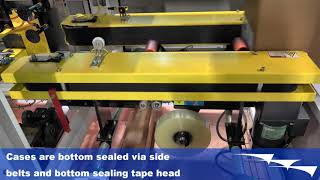 319 - CE-CEB - Automatic Case Erector and Bottom Sealer