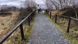 Christmas Holidays In Ireland | Lough Boora Discovery Park Ireland