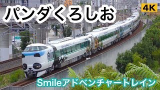 パンダくろしおで行こう !!! Smileアドベンチャートレイン【4K】