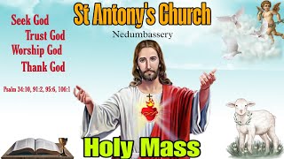 16/01/2025#RC#LATIN#HOLY#MASS#MALAYALAM