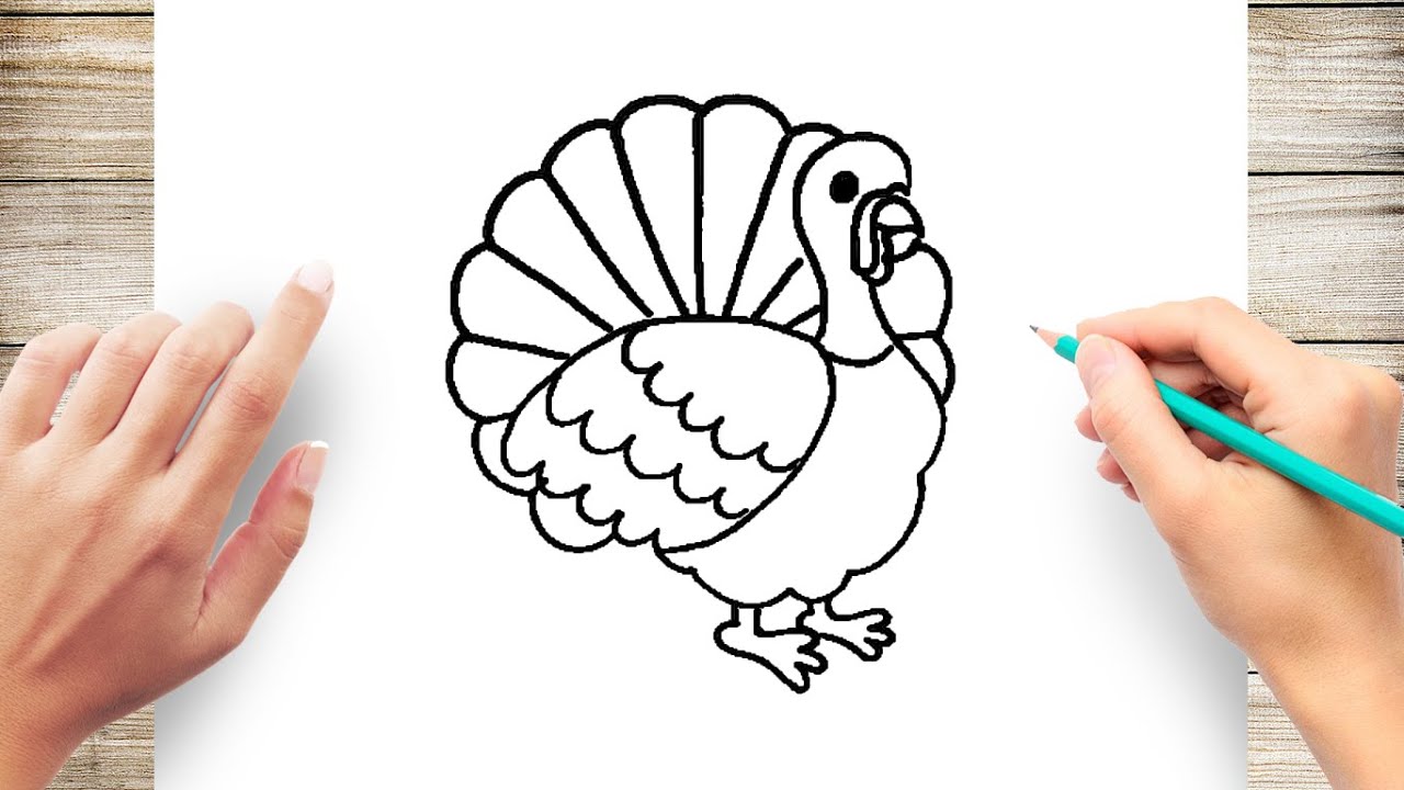 Easy Turkey Drawing Tutorial Rosamaria East
