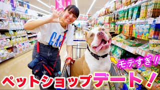 ロッキーとペットショップデート♡人気者すぎてやばい！おもちゃにおやつ！【アメリカンピットブル】　(AMERICAN PITBULL)