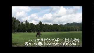 GRANDAME-JAPAN優勝馬のふるさと／トウショウ牧場（ロッソトウショウ号）