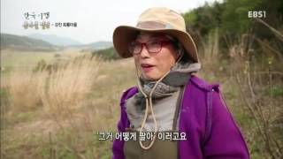 한국기행 - Korea travel_봄나물열전 5부 나는 나물을 뜯고 애들은 자연이 키우고_#001