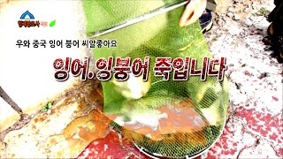 리빙tv형제꽝조사 중국낚시여행3 탄 웨이하이1편 풀버젼