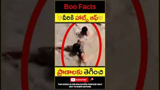 👏వీరికి హాట్స్ ఆఫ్👏 Man saving people in floods #shorts #youtubeshorts #humanity