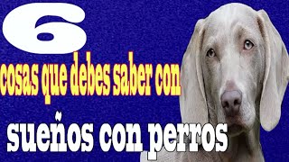 ¿Soñaste con perros? Descubre las 6 claves que debes saber sobre su significado 🐾✨