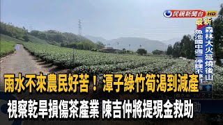 雨水不來農民苦! 潭子綠竹筍渴到減產 盼政府補助－民視台語新聞