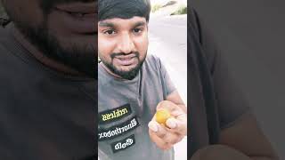 కువైట్ ఇంట్లో ఖర్జూరం చెట్లు #kuwaitvlogs #telugu